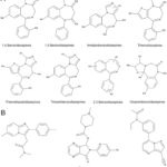 Chemical entities of benzodiazepines and Z-drugs