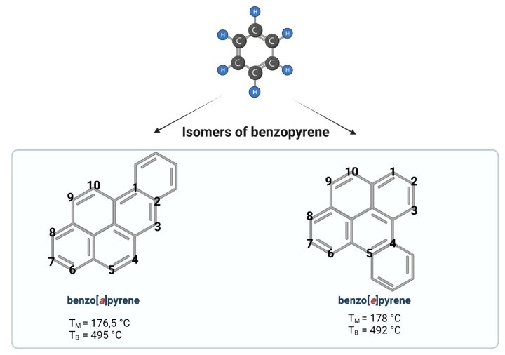 Chemical structures of benzopyrene