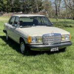 Front view of a light ivory Mercedes-Benz 240D W123 parked in a field, showcasing its classic design