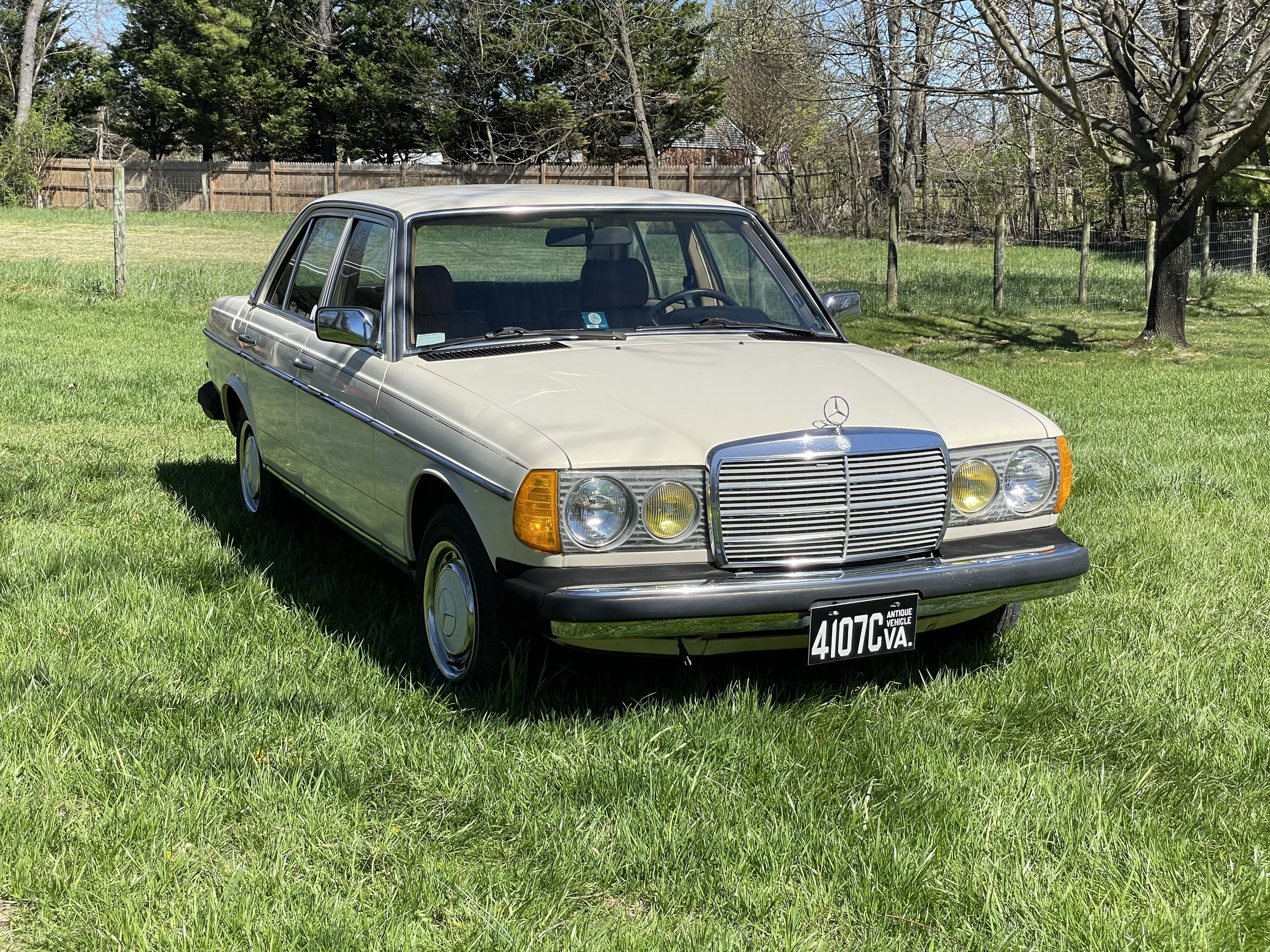 Front view of a light ivory Mercedes-Benz 240D W123 parked in a field, showcasing its classic design