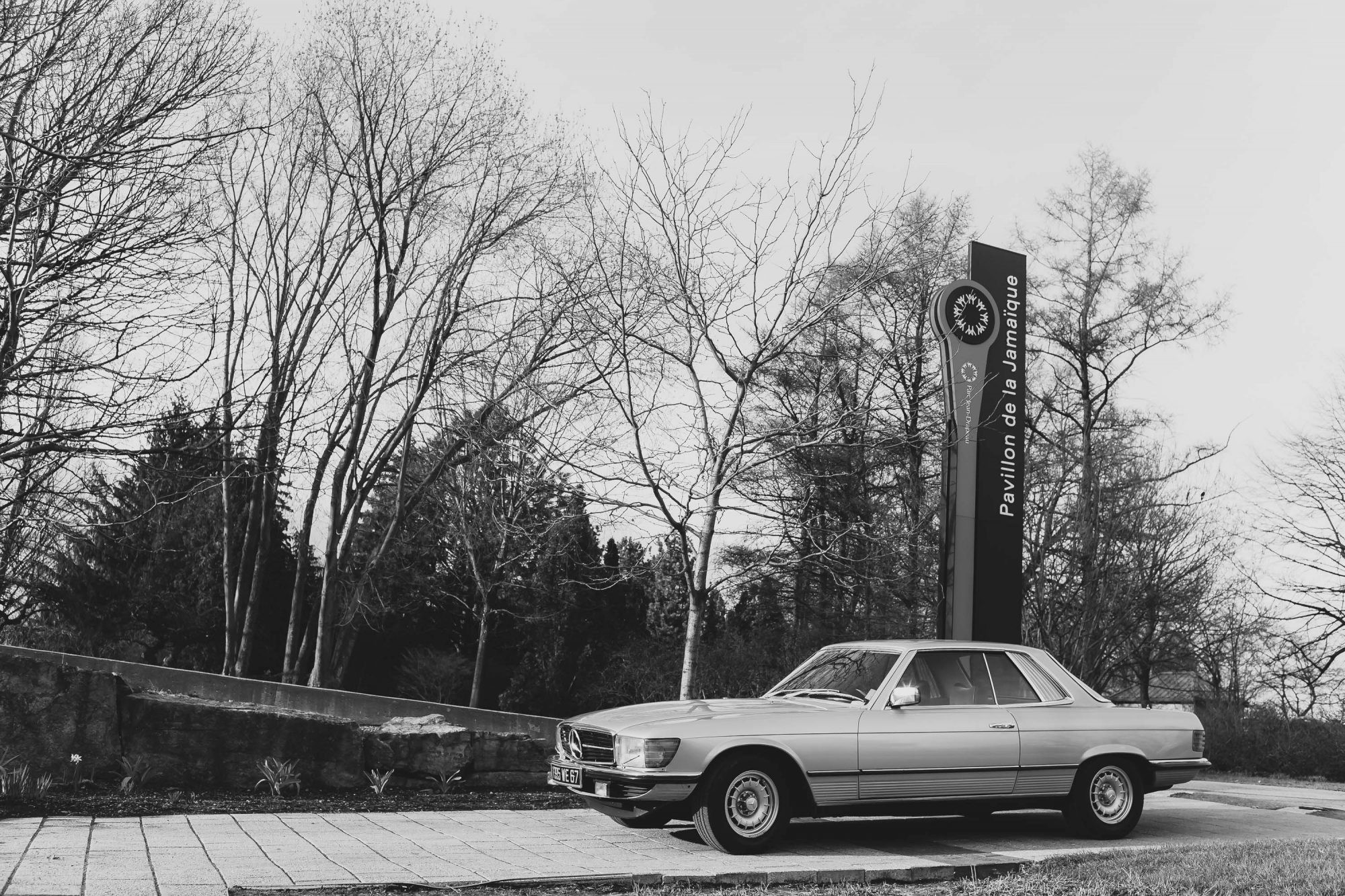 My Journey with a 1977 Mercedes-Benz 450 SLC: A Classic Car Love Affair